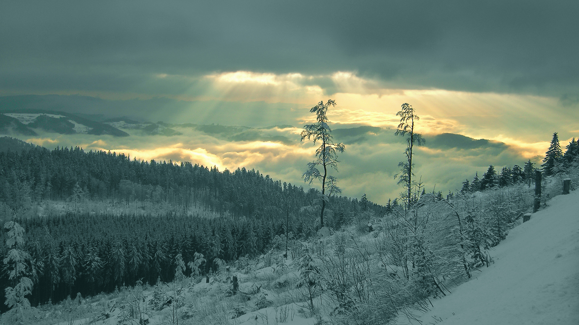 Darkest Mountains